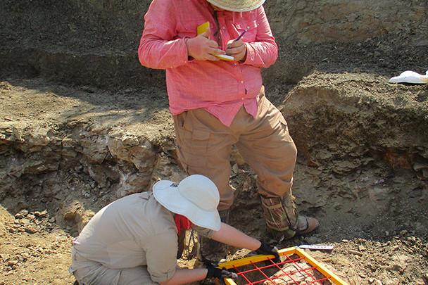 <a href='http://sfs.0595idc.net'>bv伟德ios下载</a>学生在麦卡尔哈尼采石场测绘三角龙骨骼.